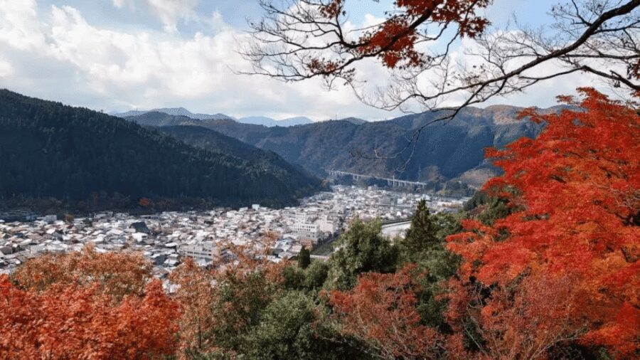 Shirakawago&HidaTakayama&GujoHachiman 1 Day Tour from Nagoya - Final call: should you book this one-day Nagoya tour?