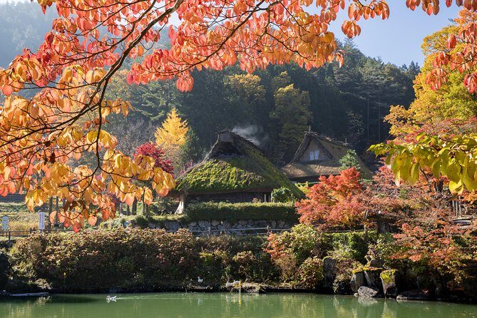 Shirakawago(UNESCO world heritage)/ Onsen / Hiking / 1day tour - Hirayu Falls: waterfall power and a thousand-year tree