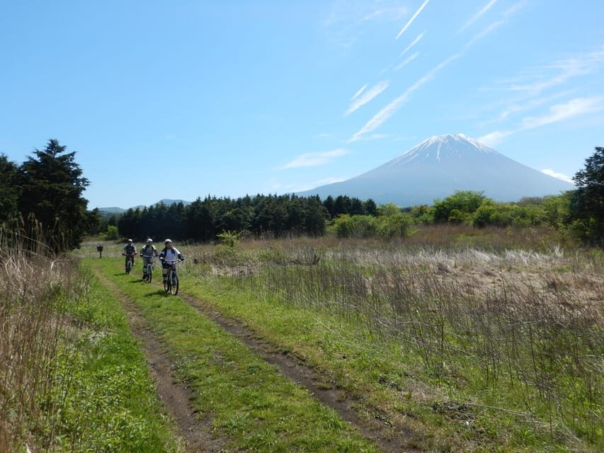 Shizuoka : Private Adventure E-bike Tour around Mt Fuji - A Mt. Fuji day with more stops than just photos