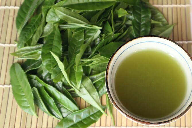 Shizuoka Tea Picking Private Experience - Price and Value: Is $130.07 Worth It?