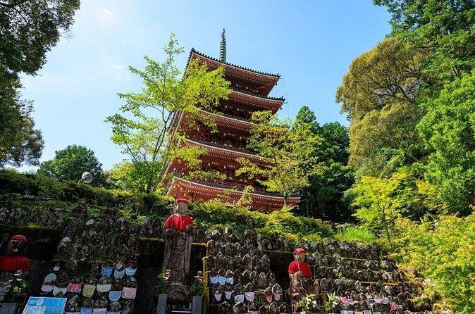 Shore Excursion Full Day Private Kochi Tour from Kochi port - Price and Logistics: What’s Included, What You’ll Pay Cash