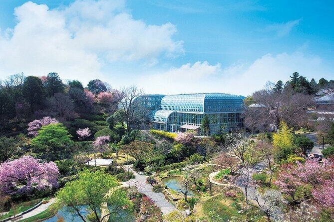 Shore Excursion Full Day Private Kochi Tour from Kochi port - Chikurin-ji Temple Homotsukan: A One-Hour Culture Stop