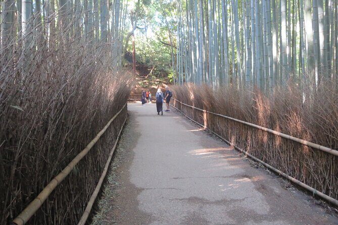 Shore excursion: Full Day Private Kyoto Tour From Osaka/Kobe Port - Fushimi Inari-taisha Shrine: Timing and Walking Comfort