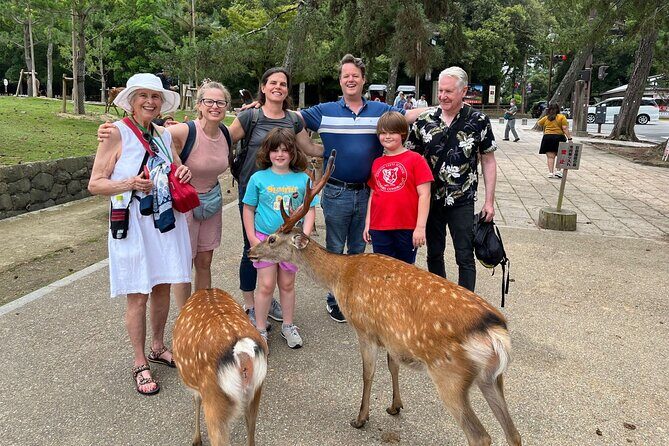 Shore Excursion: Full Day Private Nara Tour from Osaka /Kobe port - Key Highlights That Make This Tour Worth It