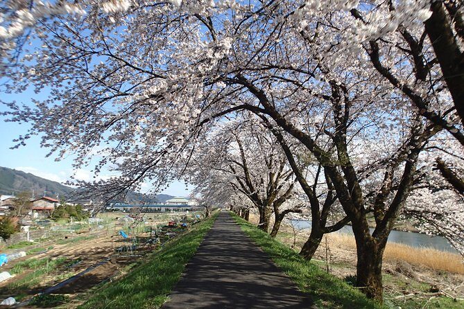 Short Morning Cycling Tour in Hida - Pricing reality check: $161.18 for 2.5 hours of guided countryside