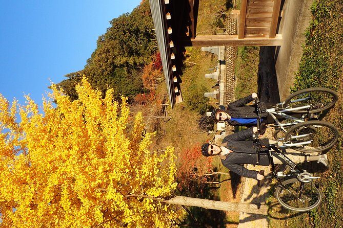 Short Morning Cycling Tour in Hida - Who this short morning cycling tour is best for