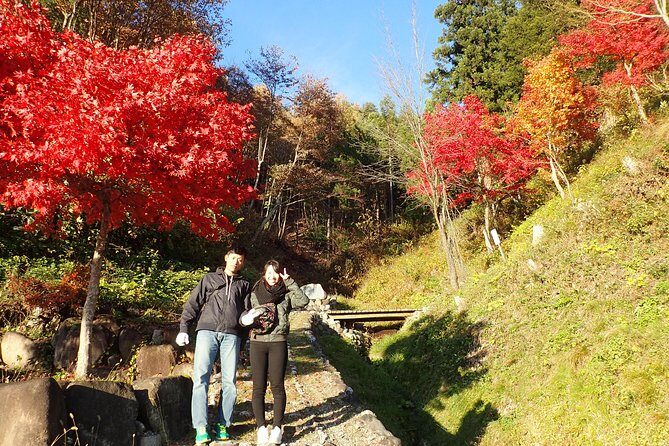 Short Morning Cycling Tour in Hida - Practical tip: how to get the most out of the stops