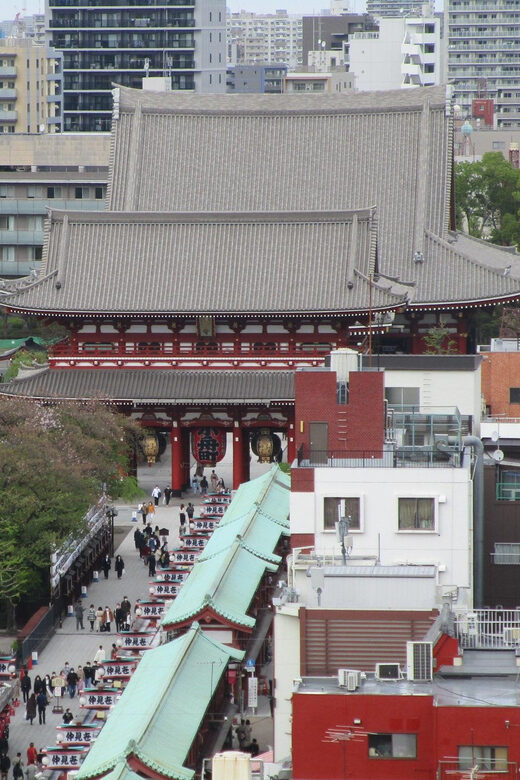 Shuttle Van Tokyo-Tour, for 4 Hours or 6 Hours+Transfer Time - Timing, Duration, and Transfers That Actually Affect Your Day