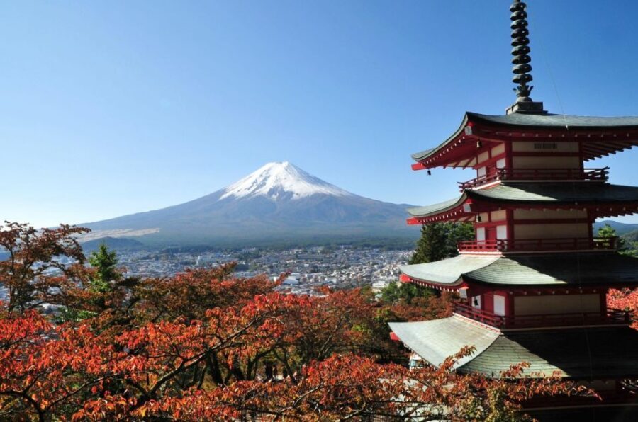 Sightseeing Day Trip to Mount Fuji and Hakone Green Number - The Big Picture: What This Day Trip Really Gives You