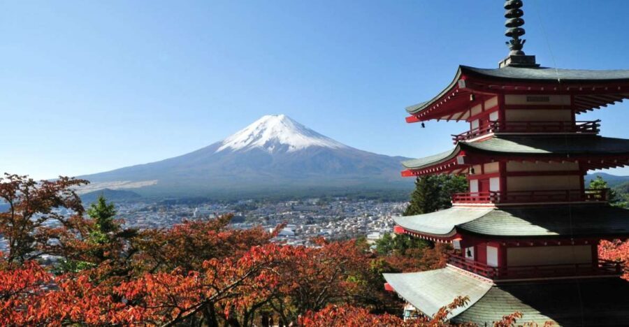 Sightseeing Day Trip to Mount Fuji and Hakone Green Number - Two Itinerary Choices: Fuji Plus Hakone, or Fuji-Only Focus