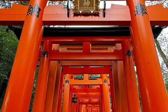 Single- & multi-day Adventures within Kyoto Nara Osaka Kobe - Key things that make this tour work