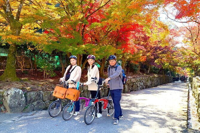Slow Cycling Tour at Uji's Matcha Green Tea Fields and Heritage - Key highlights you’ll actually feel on the ride