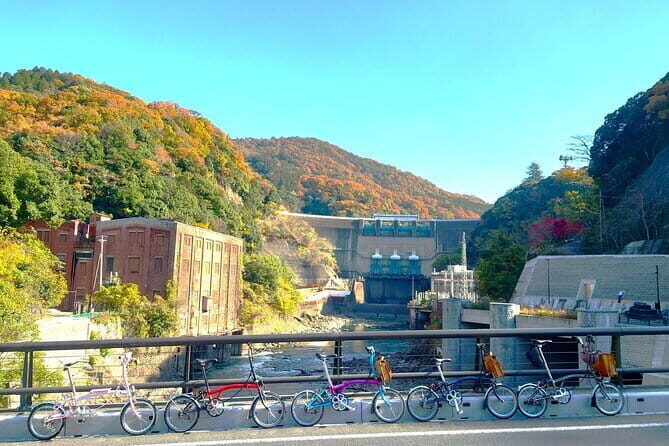 Slow Cycling Tour at Uji's Matcha Green Tea Fields and Heritage - Why slow cycling in Uji works so well