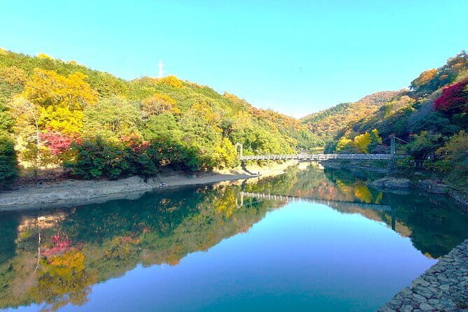 Slow Cycling Tour at Uji's Matcha Green Tea Fields and Heritage - Price and what you’re really paying for