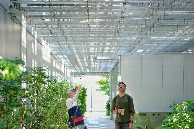Small-Group Architecture Tour in Ginza, Tokyo - Key takeaways before you go
