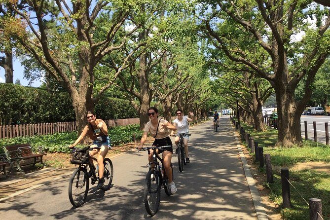 Small Group Cycling Tour in Tokyo - Shiodome Lunch Break and Tokyo Bay From Above