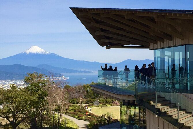Small Group Japanese Green Tea Tasting in Shizuoka - Nippondaira Hotel Terrace Lounge: Fuji Through Floor-to-Ceiling Windows