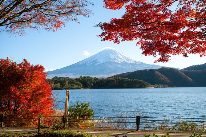 Small Group Tour Mount Fuji and Lake Kawaguchi from Tokyo - Transfers, pacing, and how the guide can change your day