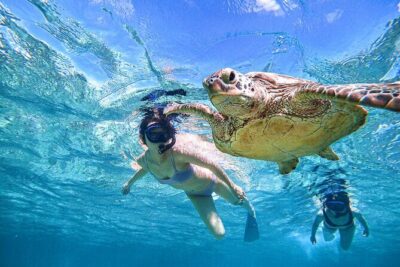 Snorkeling Activity in Okinawa Miyako Japan - Price and value: what $41 really covers