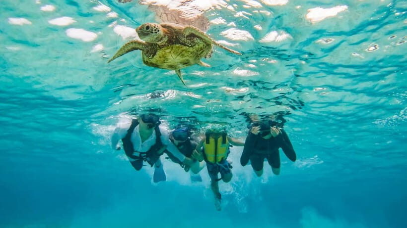 Snorkeling Activity in Okinawa Miyako Japan - Sea turtles, rain, and odds: what the tour is really promising
