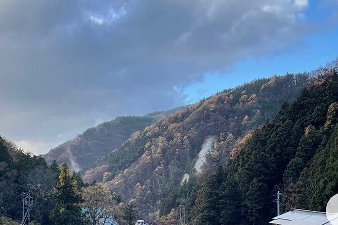 Snow Monkey Nagano Day Tour by Car English Driver in Person Guide - Zenko-ji Temple in two hours: a history stop that doesn’t feel rushed