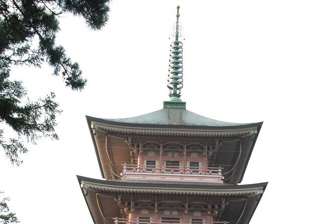 Snow Monkey Park & Zenkoji Temple Nagano Pvt. Full Day Tour. - Price and logistics: is $800 per group worth it?