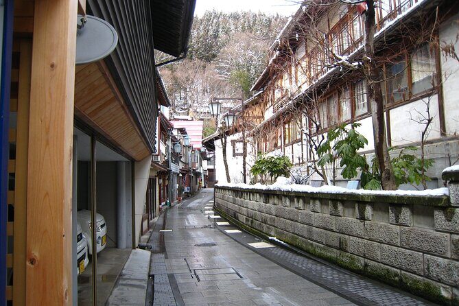 Snow Monkey & Shibu Onsen Afternoon Tour (Depart: Iiyama & Nozwa) - The 2km forest walk: what to wear and how to not regret it