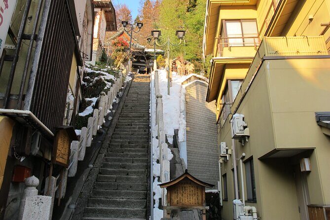 Snow Monkey & Shibu Onsen Afternoon Tour (Depart: Iiyama & Nozwa) - What the monkeys are really like: wild animals, timed viewing
