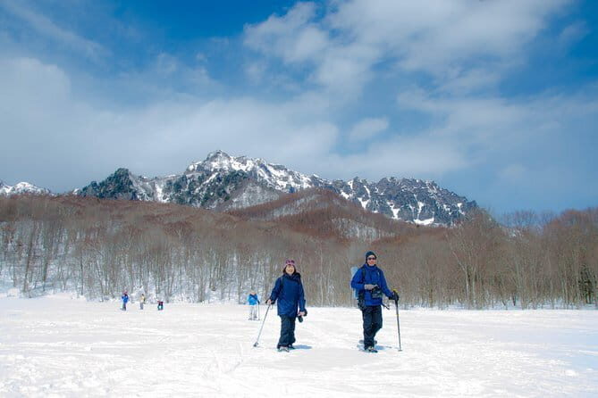 Snow Monkey & Shibu Onsen Private Tour (Nagano, Nozawa, Myoko) - Shibu Onsen strolls: narrow streets, public baths, and that old-town feel