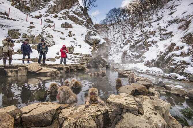 Snow Monkeys, Hokusai & Sake: A Perfect Day in Nagano - Optional Zenkoji Temple drop-off (only for the 8:45 start)