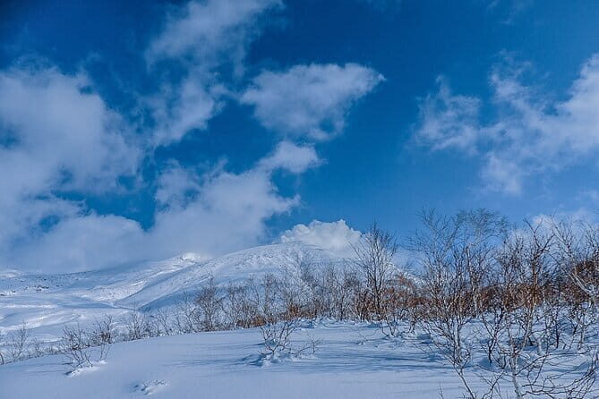 Snowshoe Adventures and Onsen Bliss Winter Escape in Furano - Morning wonderland vs night forest with headlamps