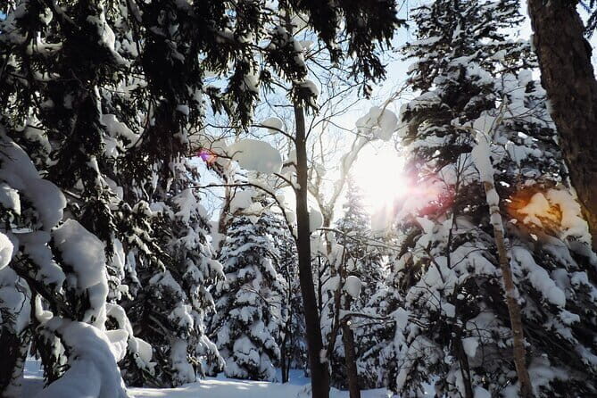 Snowshoe Adventures and Onsen Bliss Winter Escape in Furano - Snowshoeing in the 1,000m winter forest: what walking actually feels like