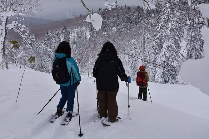Snowshoe Hike Tour from Sapporo include hotel p/up & drop off - Jozankei and Hoheikyo Onsen: Why the Warm-Up Is Part of the Win