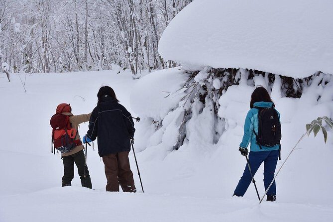 Snowshoe Hike Tour from Sapporo include hotel p/up & drop off - Price and Value: What $308.73 Per Person Really Covers