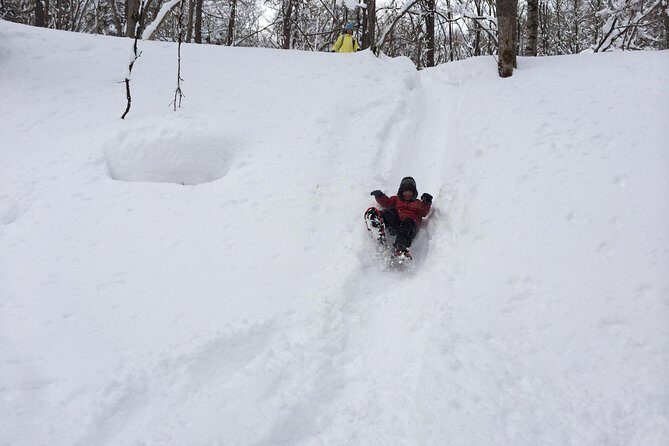 Snowshoe Hike Tour from Sapporo include hotel p/up & drop off - Who This Tour Suits Best (And Who Might Need a Backup Plan)