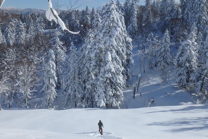 Snowshoe Hike Tour from Sapporo include hotel p/up & drop off - Practical Tips Before You Go (So Your Day Runs Smooth)