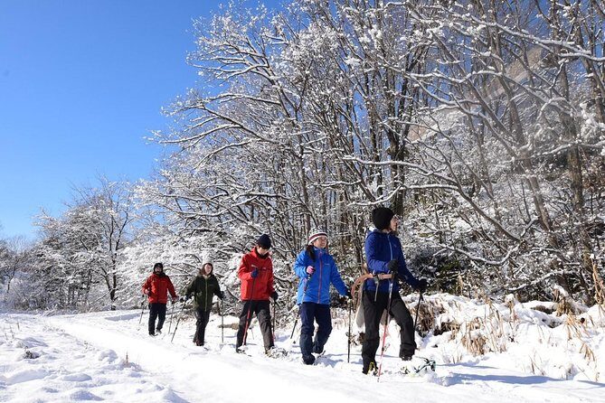 Snowshoe Hike Tour from Sapporo include hotel p/up & drop off - Nakayama Pass Snowshoe Hike: The Forest Walk You Came For