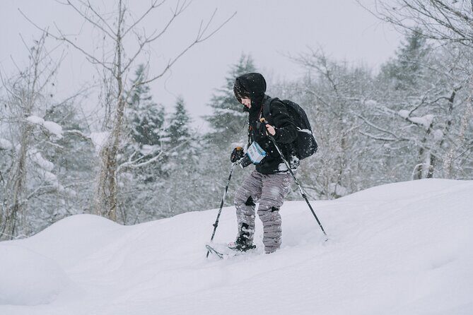 Snowshoe Hiking Tour in Tazawako - Lake Tazawa Views: How to Get the Best Out of the Scenery