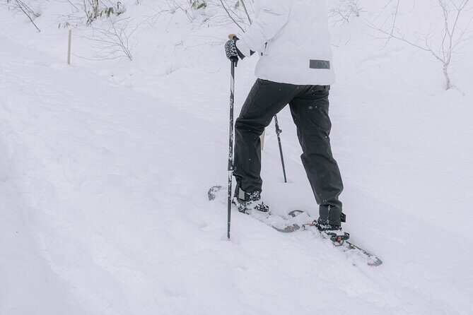 Snowshoe Hiking Tour in Tazawako - What’s Included vs. What You’ll Need to Bring