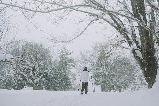 Snowshoe Hiking Tour in Tazawako - Guides, Group Size, and the Human Touch (Ginji and Daiki)
