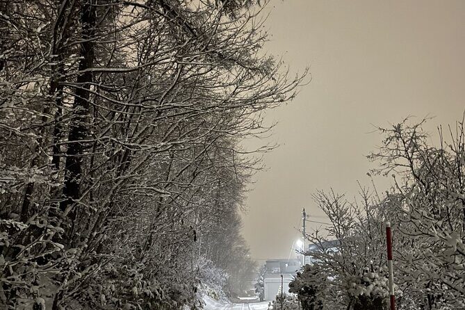 Snowshoeing and Onsen Adventures in a Winter Wonderland -Sapporo. - Gear and clothing: what you must bring (and what you can leave)