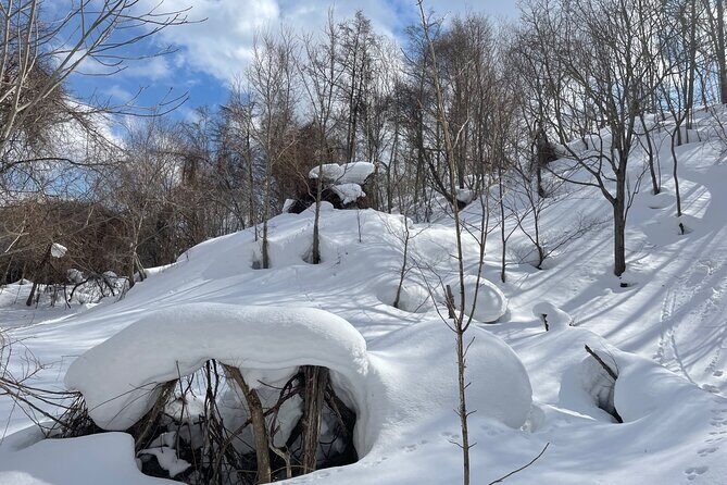 Snowshoeing and Onsen Adventures in a Winter Wonderland -Sapporo. - Value check: is $224.02 worth it?