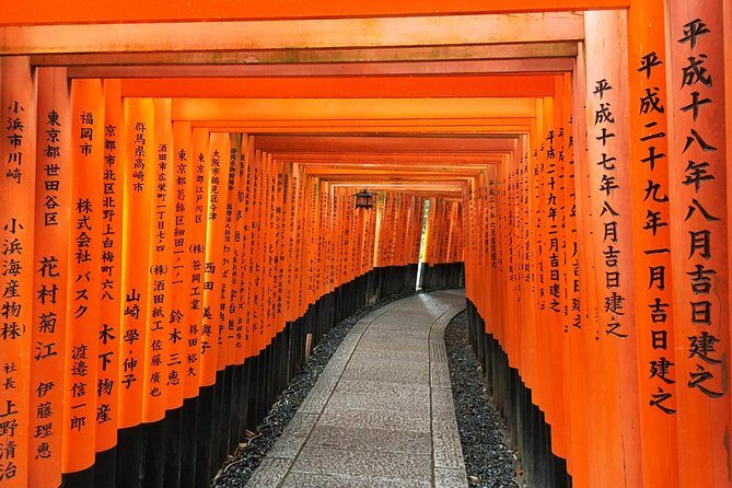 South Kyoto in a Nutshell: Gentle Backstreet Bike Tour! - Bikes, safety, and how to make the day feel easy