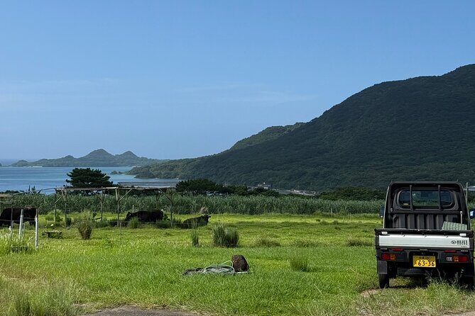 Spirit of Ishigaki: Explore the land and Lore - The route: limestone caves, pineapple farms, sea caves, and cliff views