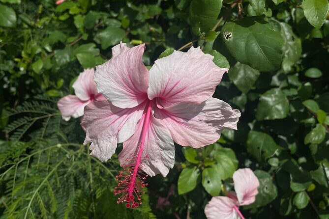 Spirit of Ishigaki: Explore the land and Lore - Should you book it?