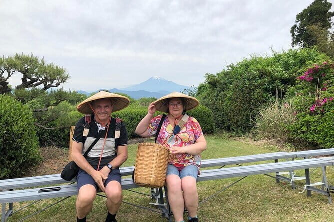 Step- Free easy going tour from Shimizu Port / Sedan Taxi - From Shimizu Marine Terminal to Nihondaira: the ride that sets the tone