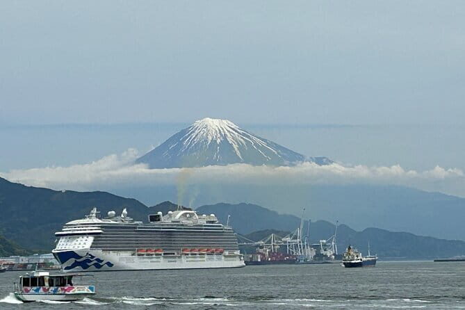 Step- Free easy going tour from Shimizu Port / Sedan Taxi - A step-free style tour with a sedan taxi reality check