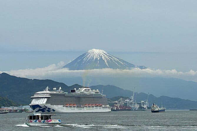 Step-Free Easy going tour from Shimizu Port / Van Taxi - Price and What You’re Really Paying For (Up to 8, Private Van, 4 Hours)