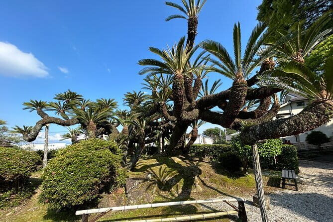 Step-Free Easy going tour from Shimizu Port / Van Taxi - Meeting at Shimizu Port: Easy Start, Easy Finish