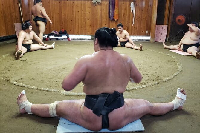 Sumo Practice Viewing Guided Tour and Photo with Sumo Wrestlers - What you learn (and what you don’t)